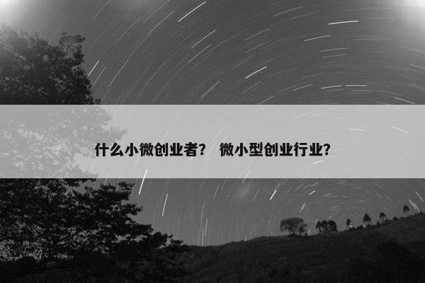 什么小微创业者？ 微小型创业行业？