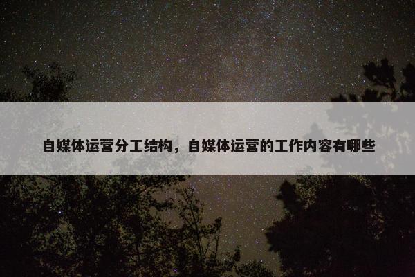 自媒体运营分工结构，自媒体运营的工作内容有哪些