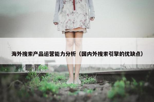 海外搜索产品运营能力分析（国内外搜索引擎的优缺点）