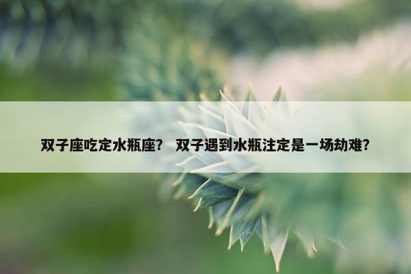 双子座吃定水瓶座？ 双子遇到水瓶注定是一场劫难？