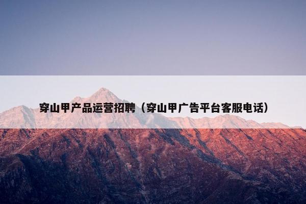 穿山甲产品运营招聘（穿山甲广告平台客服电话）