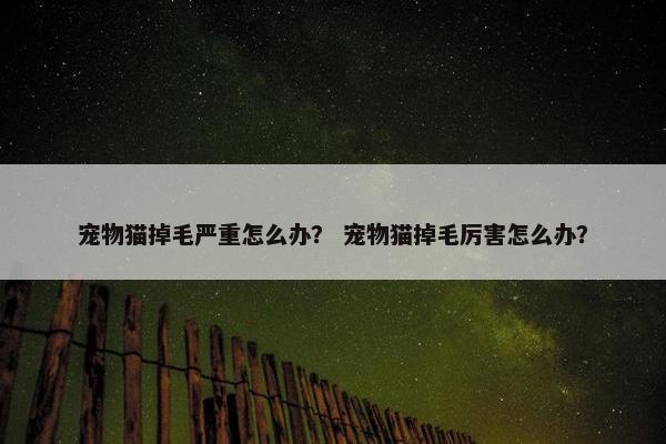 宠物猫掉毛严重怎么办？ 宠物猫掉毛厉害怎么办？