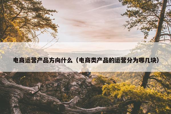 电商运营产品方向什么（电商类产品的运营分为哪几块）