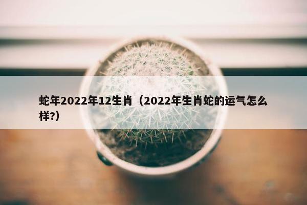 蛇年2022年12生肖（2022年生肖蛇的运气怎么样?）