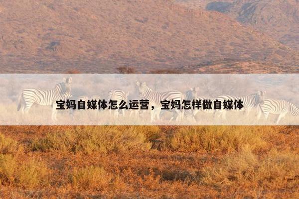 宝妈自媒体怎么运营，宝妈怎样做自媒体