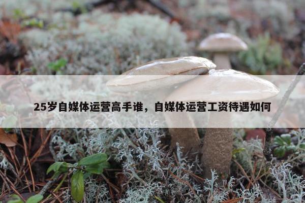 25岁自媒体运营高手谁，自媒体运营工资待遇如何