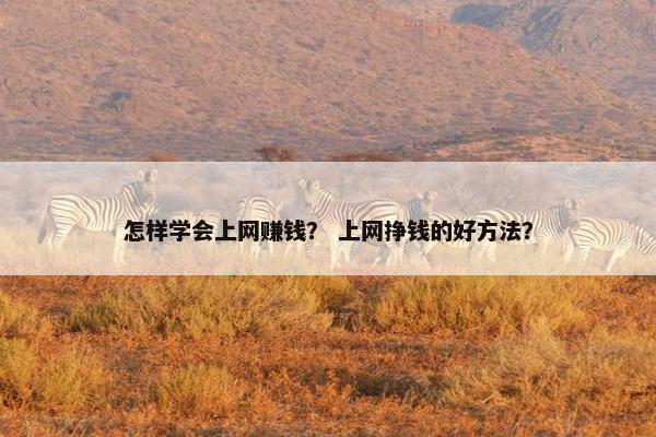 怎样学会上网赚钱？ 上网挣钱的好方法？