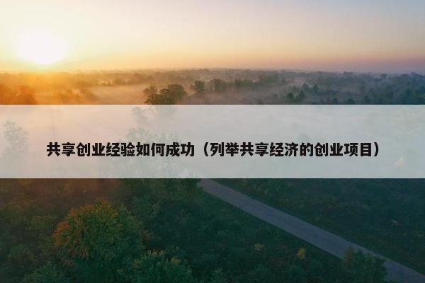 共享创业经验如何成功（列举共享经济的创业项目）