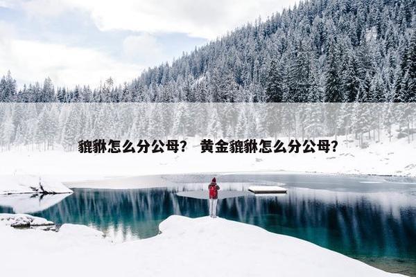 貔貅怎么分公母？ 黄金貔貅怎么分公母？