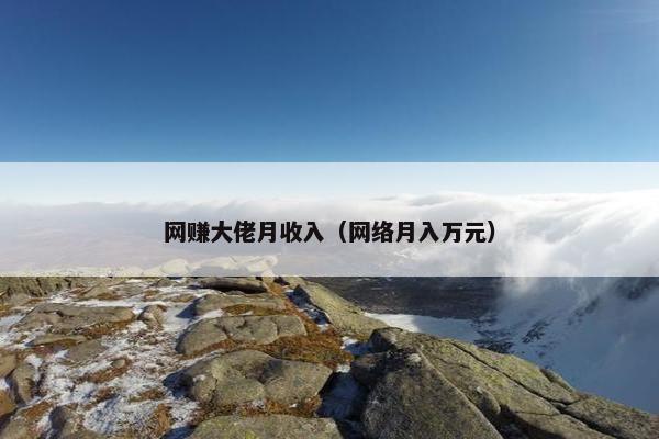 网赚大佬月收入（网络月入万元）