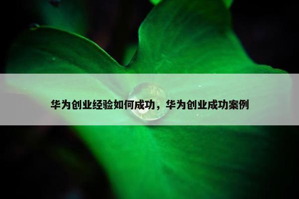 华为创业经验如何成功，华为创业成功案例