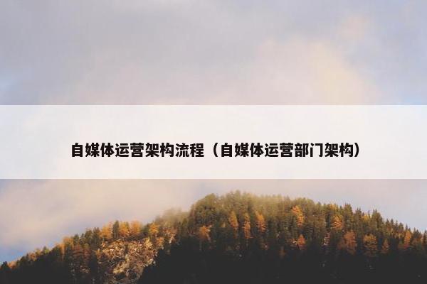 自媒体运营架构流程（自媒体运营部门架构）