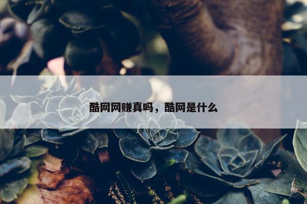 酷网网赚真吗，酷网是什么