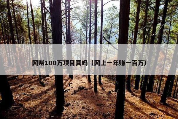 网赚100万项目真吗（网上一年赚一百万）