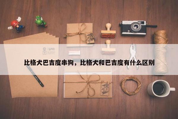 比格犬巴吉度串狗，比格犬和巴吉度有什么区别
