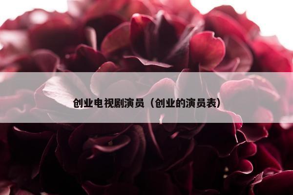 创业电视剧演员（创业的演员表）