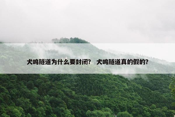 犬鸣隧道为什么要封闭？ 犬鸣隧道真的假的？