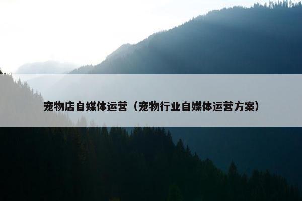宠物店自媒体运营（宠物行业自媒体运营方案）