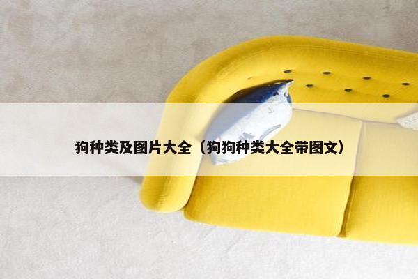 狗种类及图片大全（狗狗种类大全带图文）