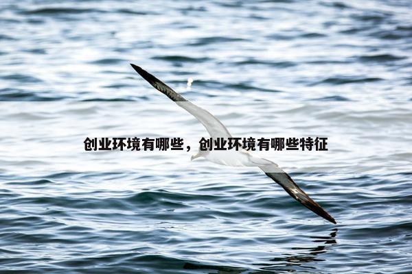 创业环境有哪些，创业环境有哪些特征