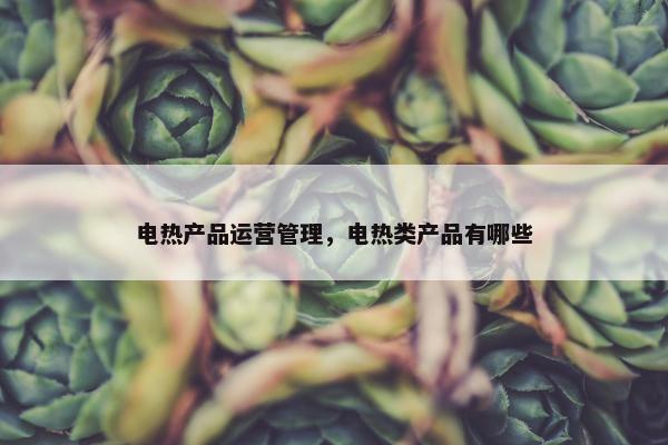 电热产品运营管理，电热类产品有哪些