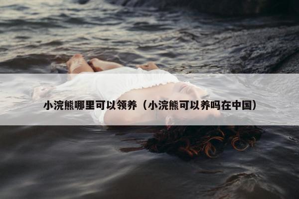 小浣熊哪里可以领养（小浣熊可以养吗在中国）