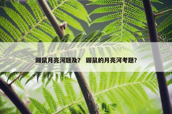 鼹鼠月亮河题及？ 鼹鼠的月亮河考题？