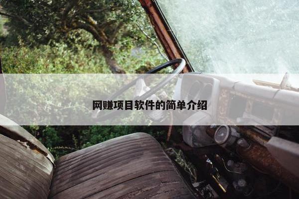 网赚项目软件的简单介绍