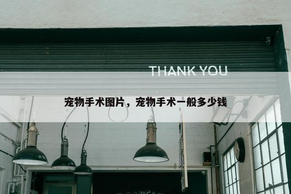 宠物手术图片，宠物手术一般多少钱