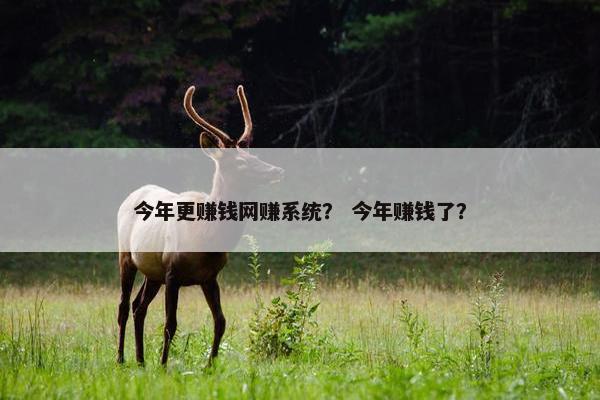 今年更赚钱网赚系统？ 今年赚钱了？
