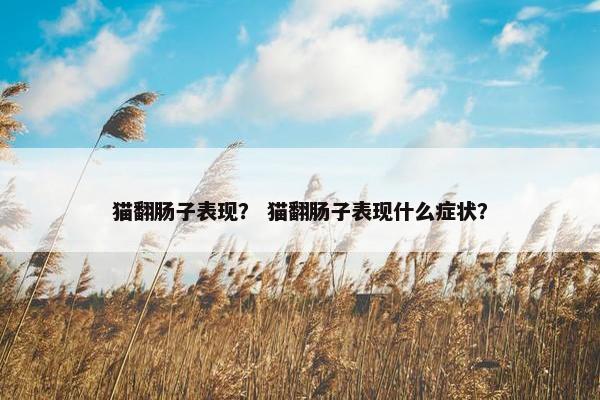 猫翻肠子表现？ 猫翻肠子表现什么症状？