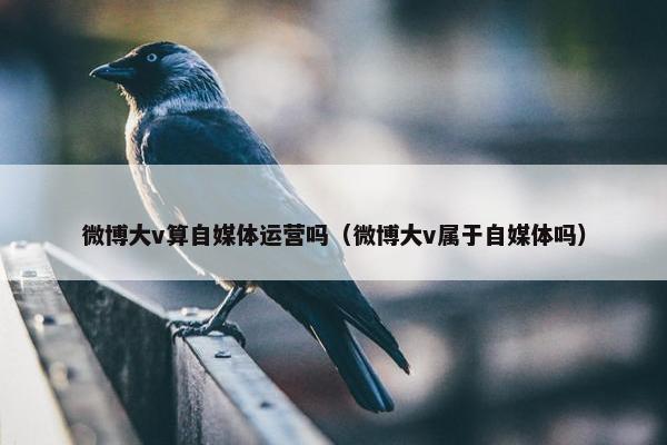 微博大v算自媒体运营吗（微博大v属于自媒体吗）