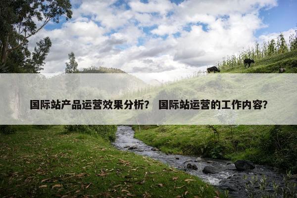 国际站产品运营效果分析？ 国际站运营的工作内容？