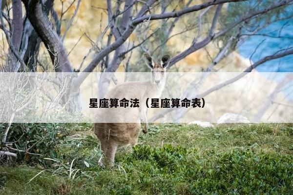 星座算命法（星座算命表）