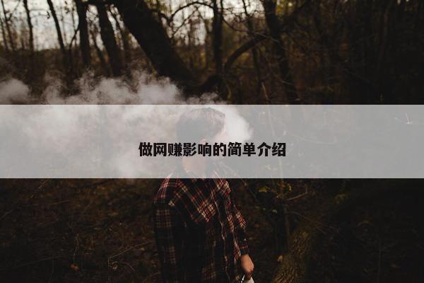 做网赚影响的简单介绍