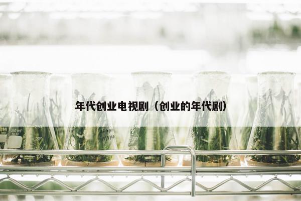 年代创业电视剧（创业的年代剧）