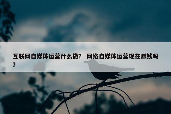 互联网自媒体运营什么做？ 网络自媒体运营现在赚钱吗？