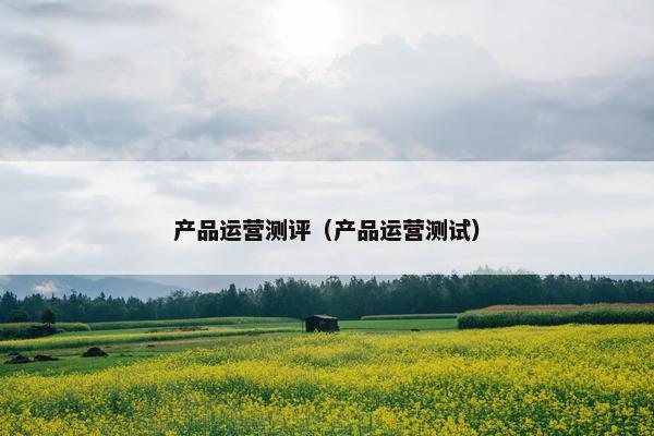 产品运营测评（产品运营测试）