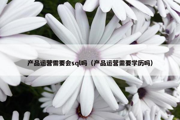 产品运营需要会sql吗（产品运营需要学历吗）
