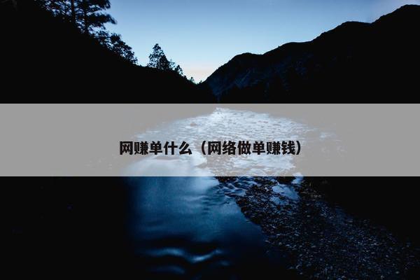 网赚单什么（网络做单赚钱）