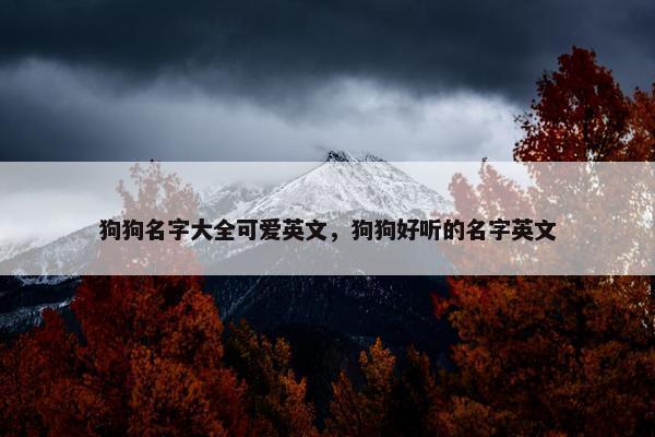狗狗名字大全可爱英文，狗狗好听的名字英文