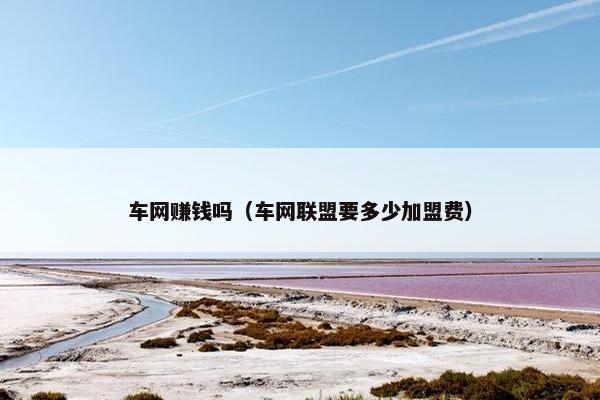车网赚钱吗（车网联盟要多少加盟费）