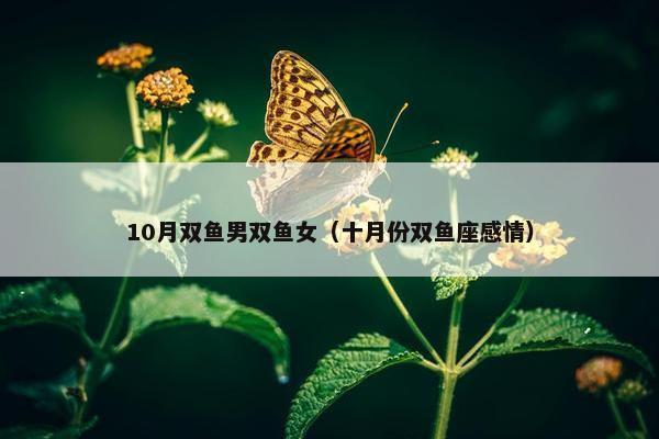 10月双鱼男双鱼女（十月份双鱼座感情）
