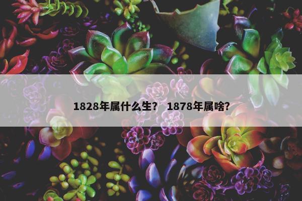 1828年属什么生？ 1878年属啥？