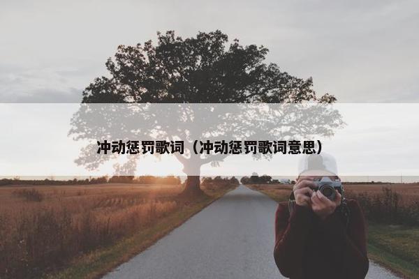 冲动惩罚歌词（冲动惩罚歌词意思）