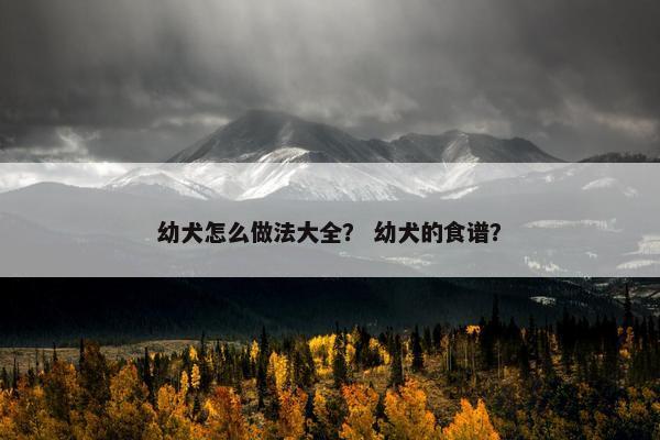 幼犬怎么做法大全？ 幼犬的食谱？