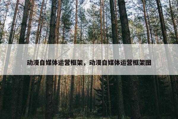 动漫自媒体运营框架，动漫自媒体运营框架图