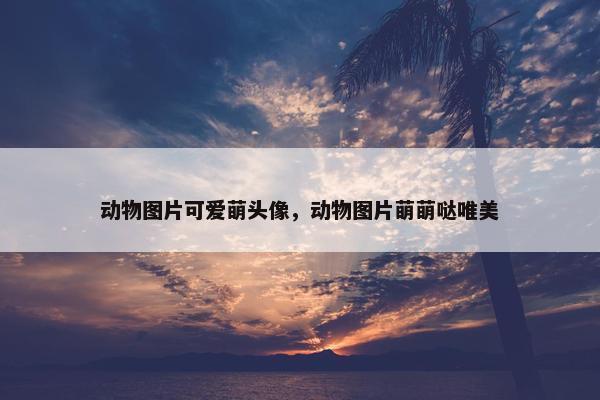 动物图片可爱萌头像，动物图片萌萌哒唯美