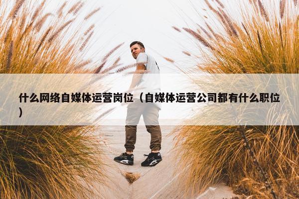 什么网络自媒体运营岗位（自媒体运营公司都有什么职位）