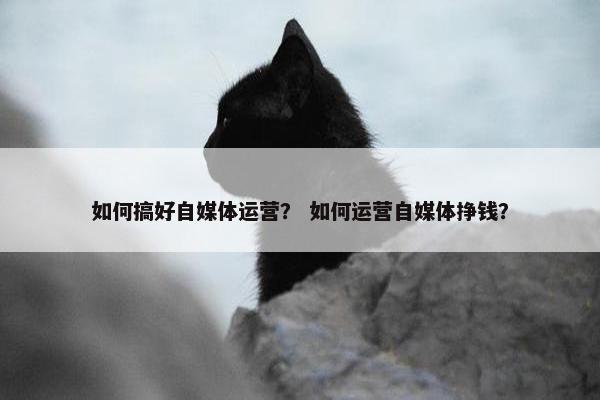 如何搞好自媒体运营？ 如何运营自媒体挣钱？